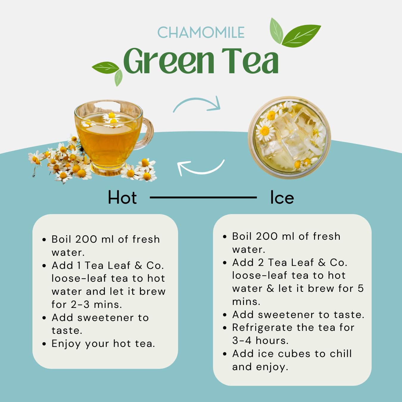 Tea Leaf & Co. Mint Green Tea Bags (50), Green Tea w/ Peppermint & Spearmint, Caffeinated, Real & Natural Green Tea, Blended with Fresh Herbs & Spices