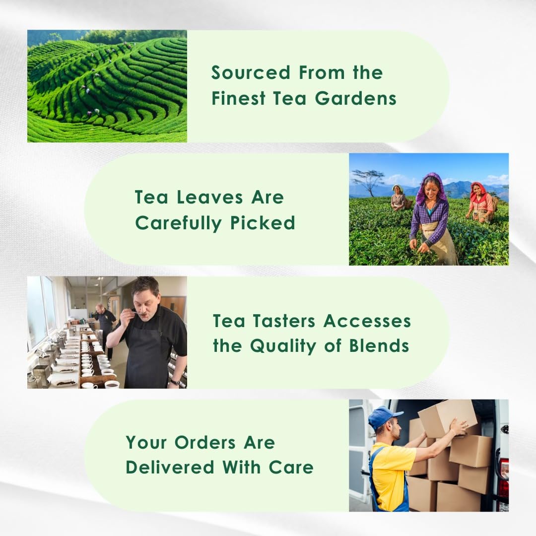 Tea Leaf & Co. Mint Green Tea Bags (50), Green Tea w/ Peppermint & Spearmint, Caffeinated, Real & Natural Green Tea, Blended with Fresh Herbs & Spices