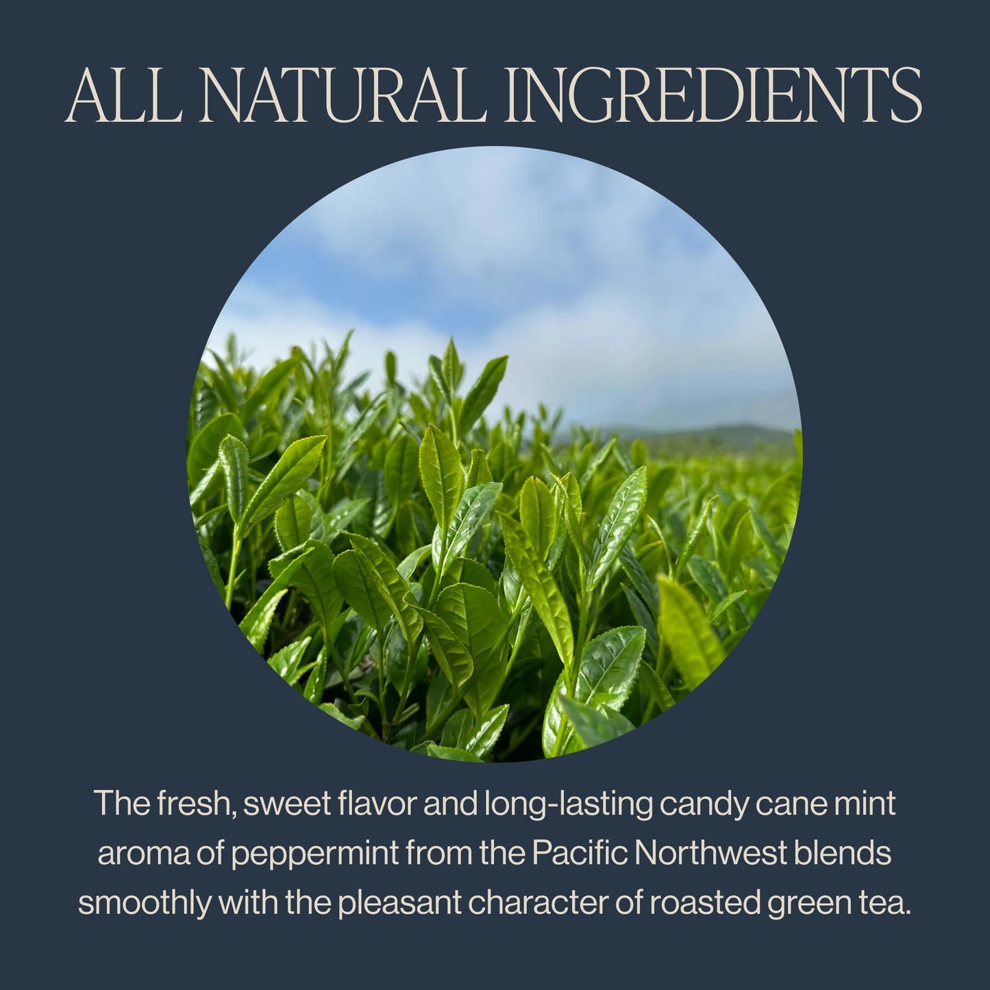 Rishi Tea China Breakfast Black Loose Leaf Tea - Organic, Robust & Caffeinated, Enjoy Hot or Iced - 4 Ounces, 12+ Servings