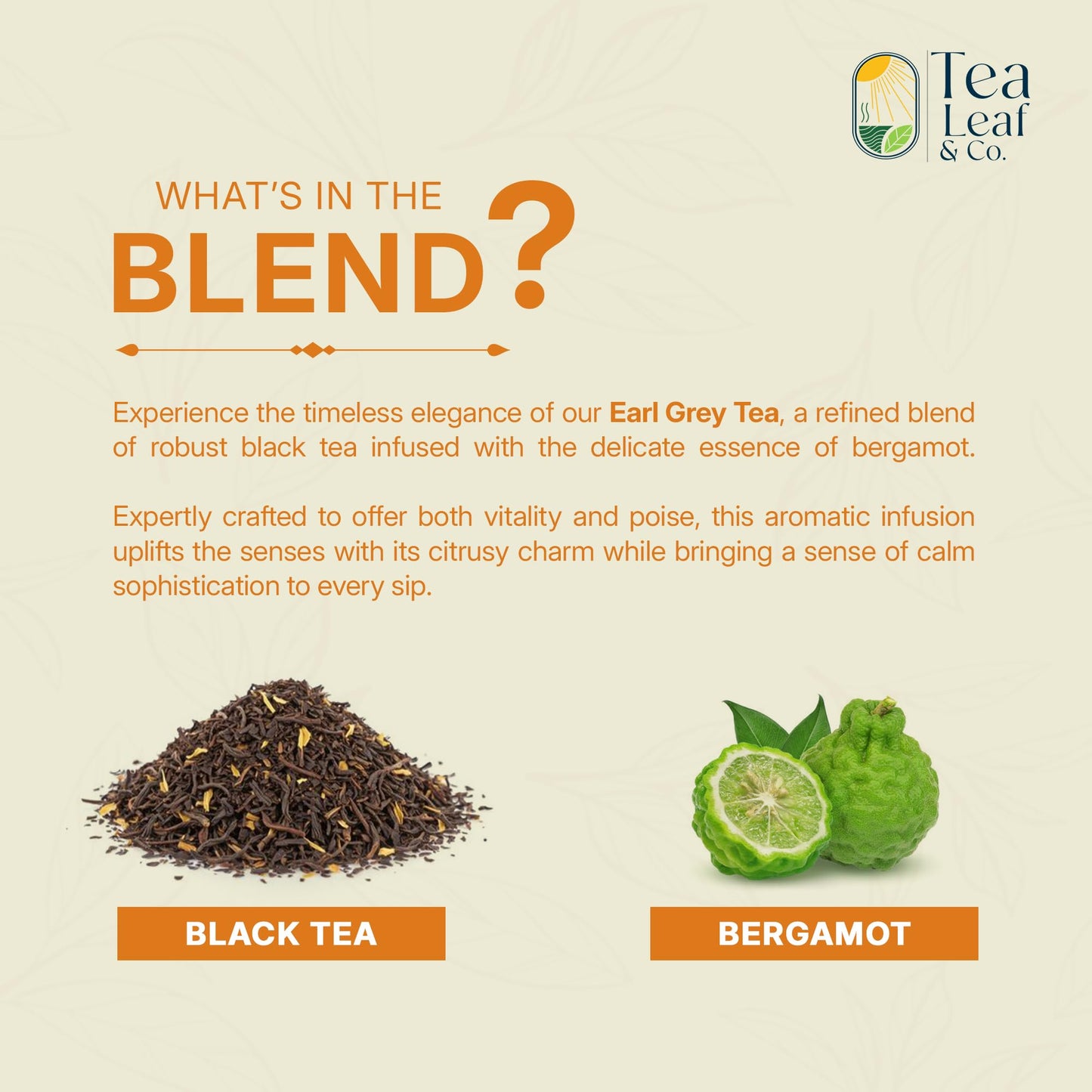 Tea Leaf & Co. Mint Green Tea Bags (50), Green Tea w/ Peppermint & Spearmint, Caffeinated, Real & Natural Green Tea, Blended with Fresh Herbs & Spices
