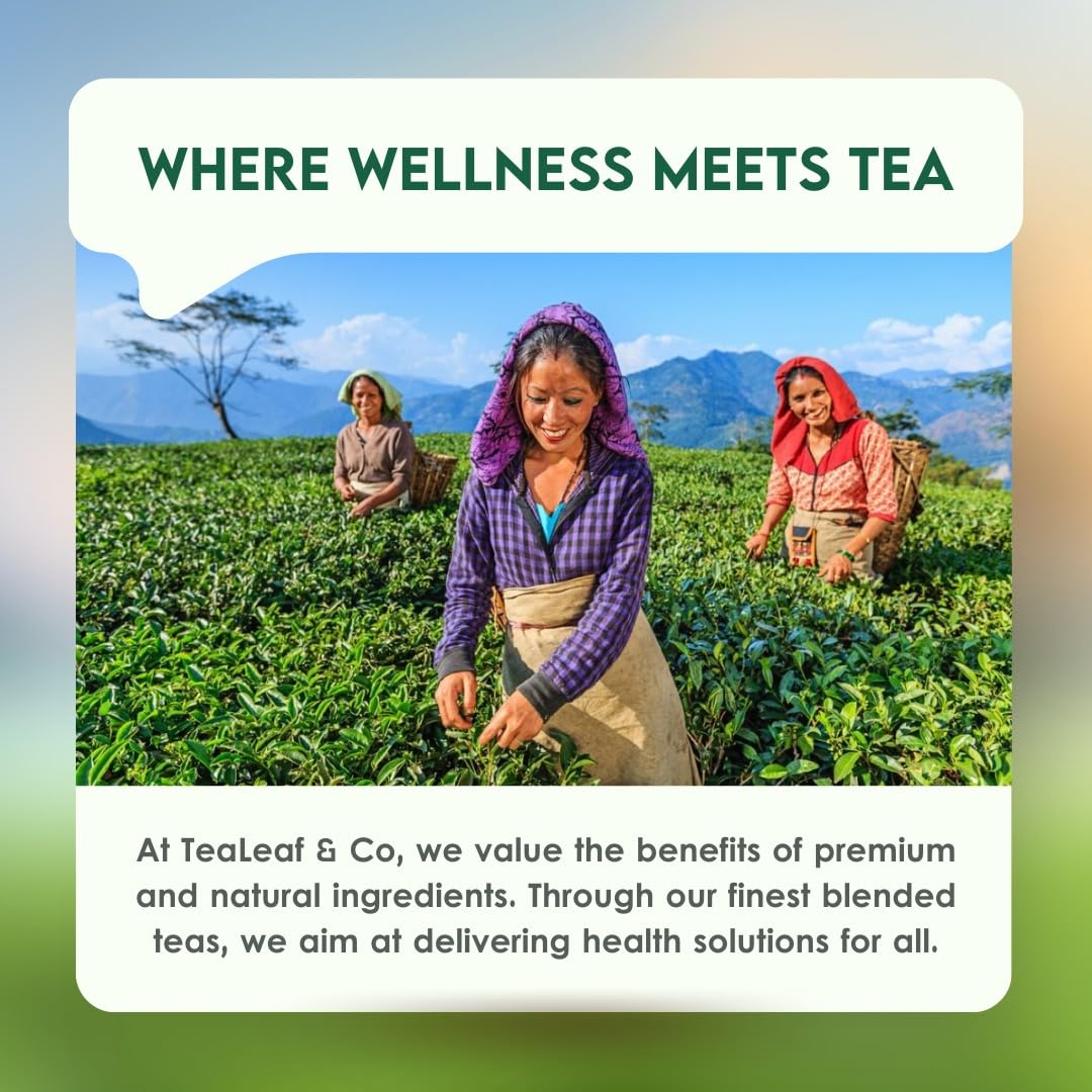 Tea Leaf & Co. Mint Green Tea Bags (50), Green Tea w/ Peppermint & Spearmint, Caffeinated, Real & Natural Green Tea, Blended with Fresh Herbs & Spices
