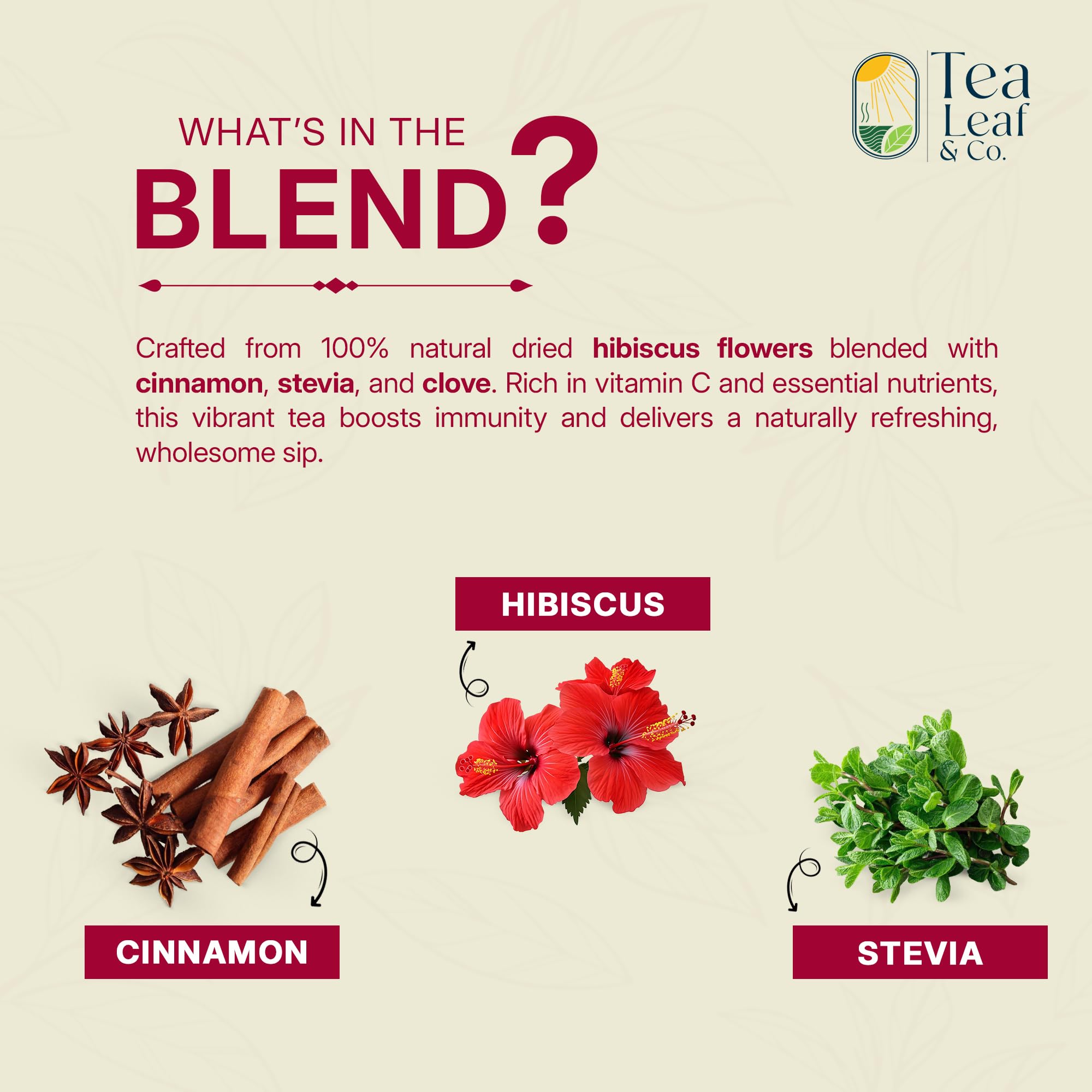 Tea Leaf & Co. Mint Green Tea Bags (50), Green Tea w/ Peppermint & Spearmint, Caffeinated, Real & Natural Green Tea, Blended with Fresh Herbs & Spices