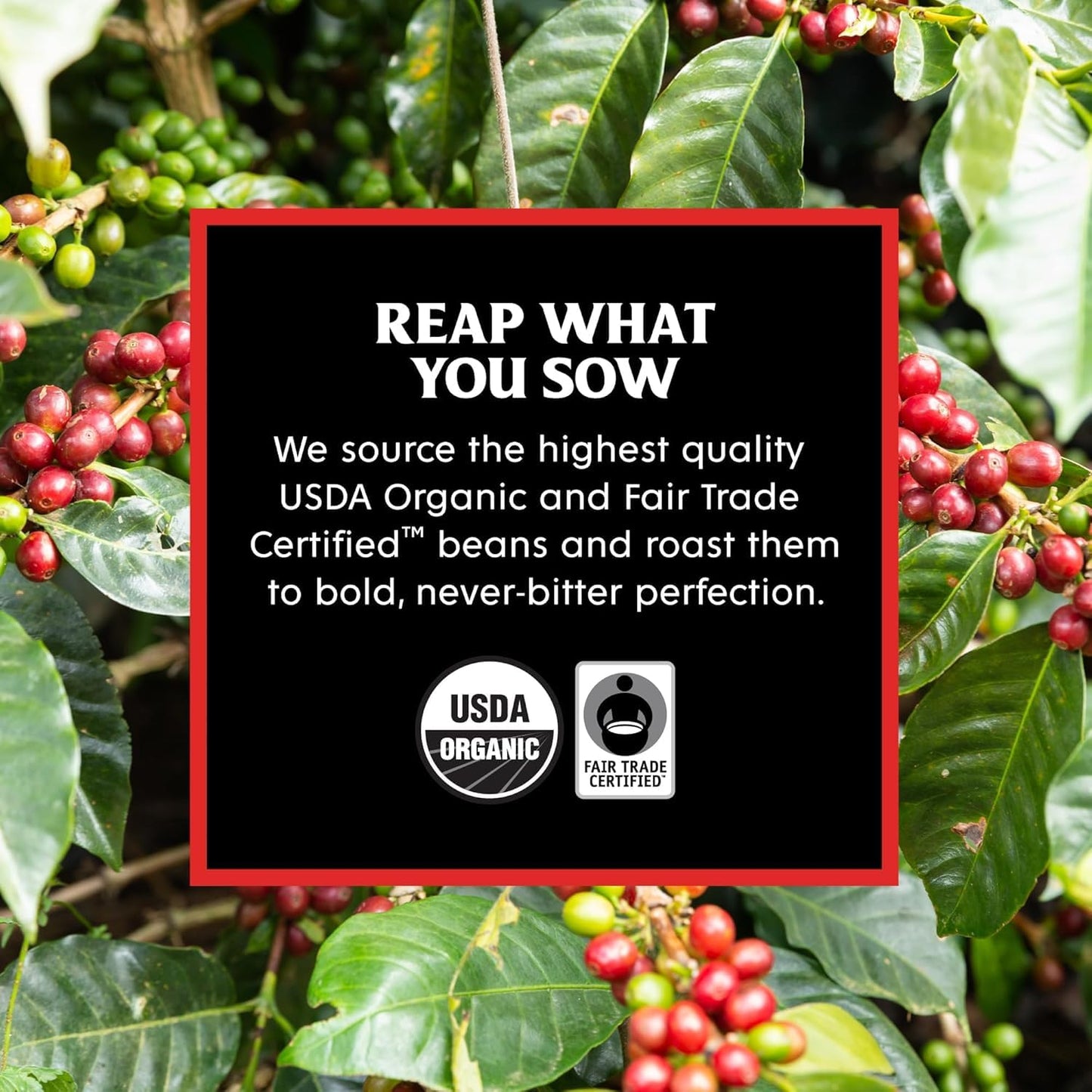 Death Wish Coffee, Organic and Fair Trade Dark Roast Ground Coffee, 16 oz