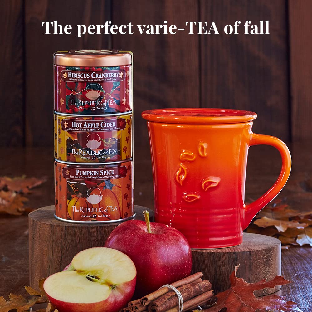 The Republic of Tea: Fall Harvest Tea Assortment Cube, 24 Tea Bags
