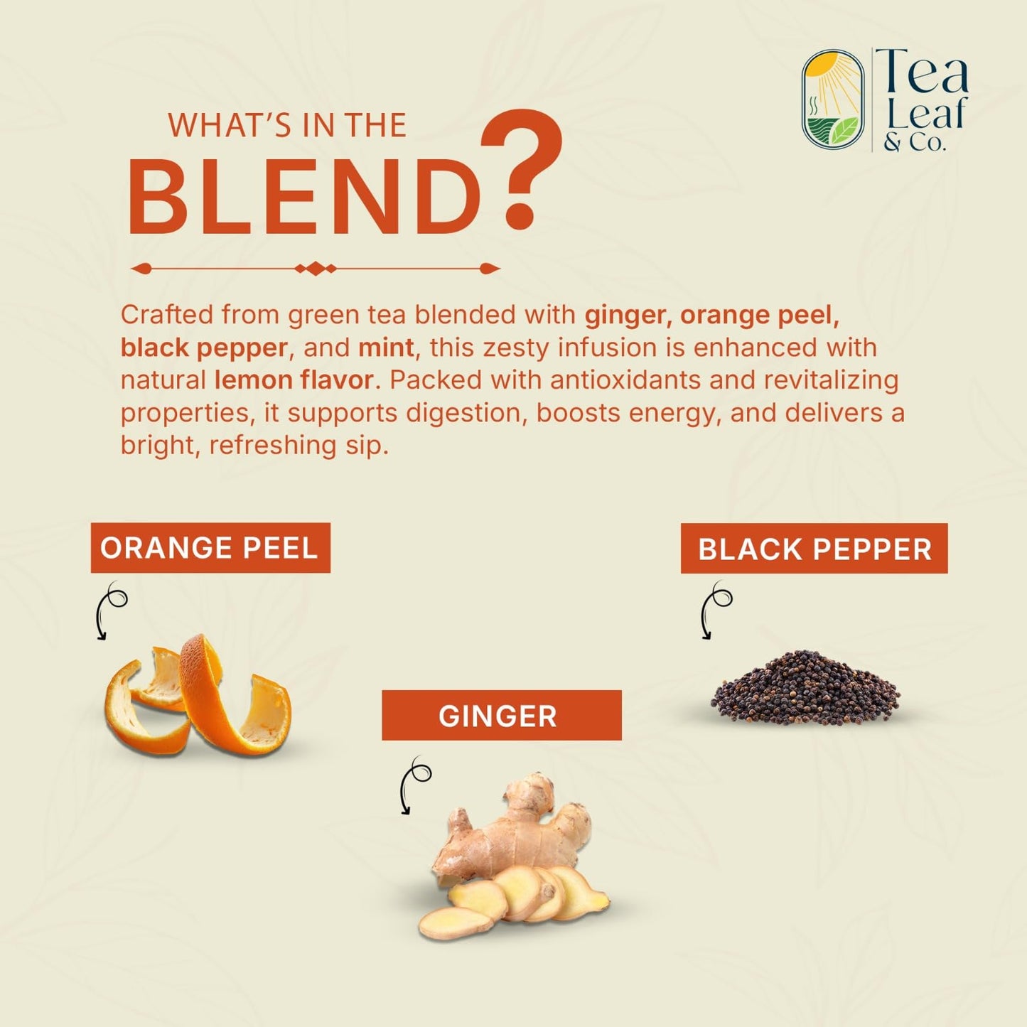 Tea Leaf & Co. Mint Green Tea Bags (50), Green Tea w/ Peppermint & Spearmint, Caffeinated, Real & Natural Green Tea, Blended with Fresh Herbs & Spices