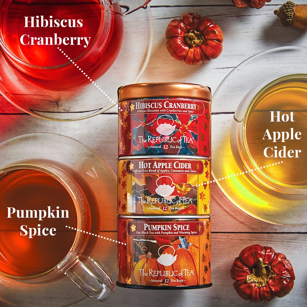 The Republic of Tea: Fall Harvest Tea Assortment Cube, 24 Tea Bags