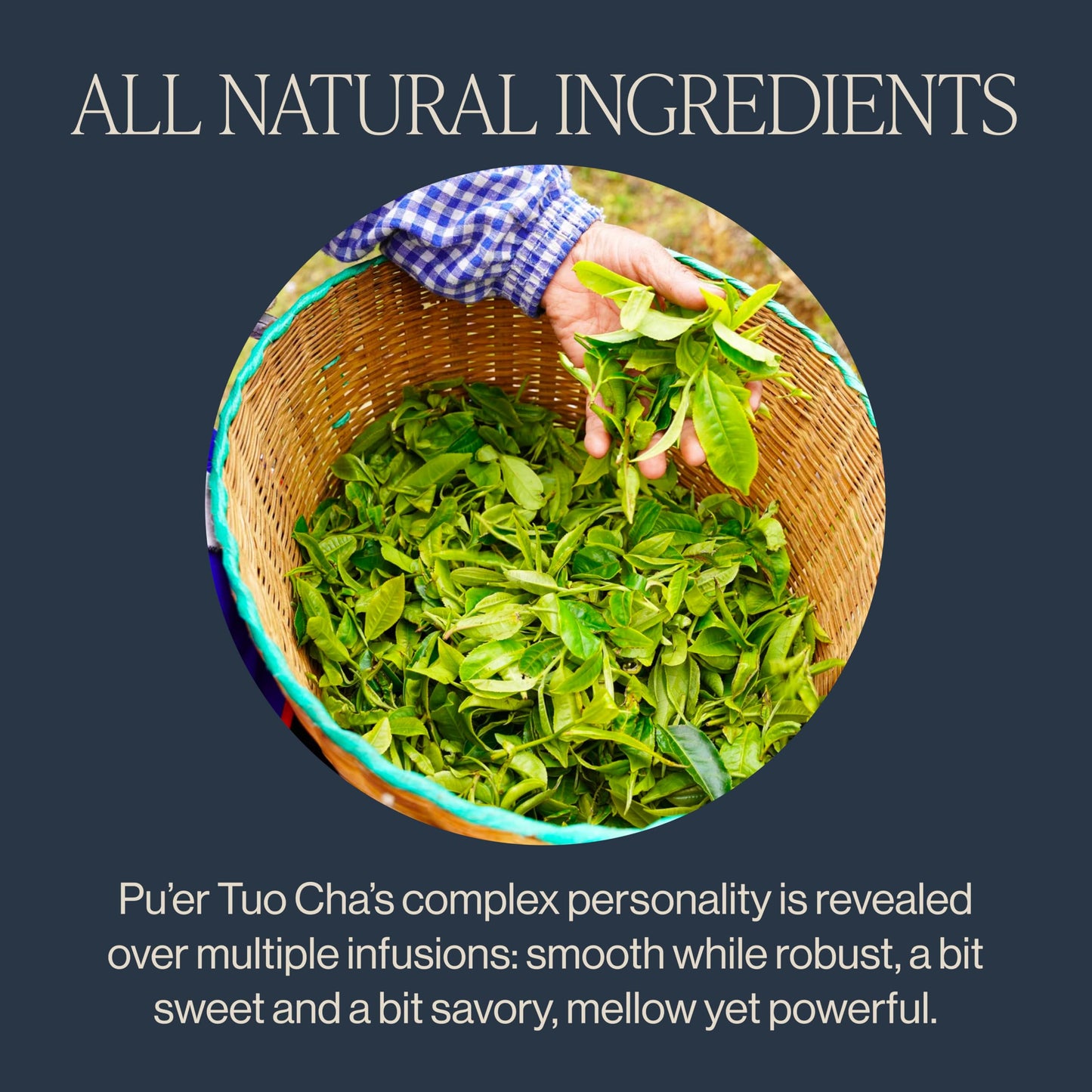 Rishi Tea China Breakfast Black Loose Leaf Tea - Organic, Robust & Caffeinated, Enjoy Hot or Iced - 4 Ounces, 12+ Servings