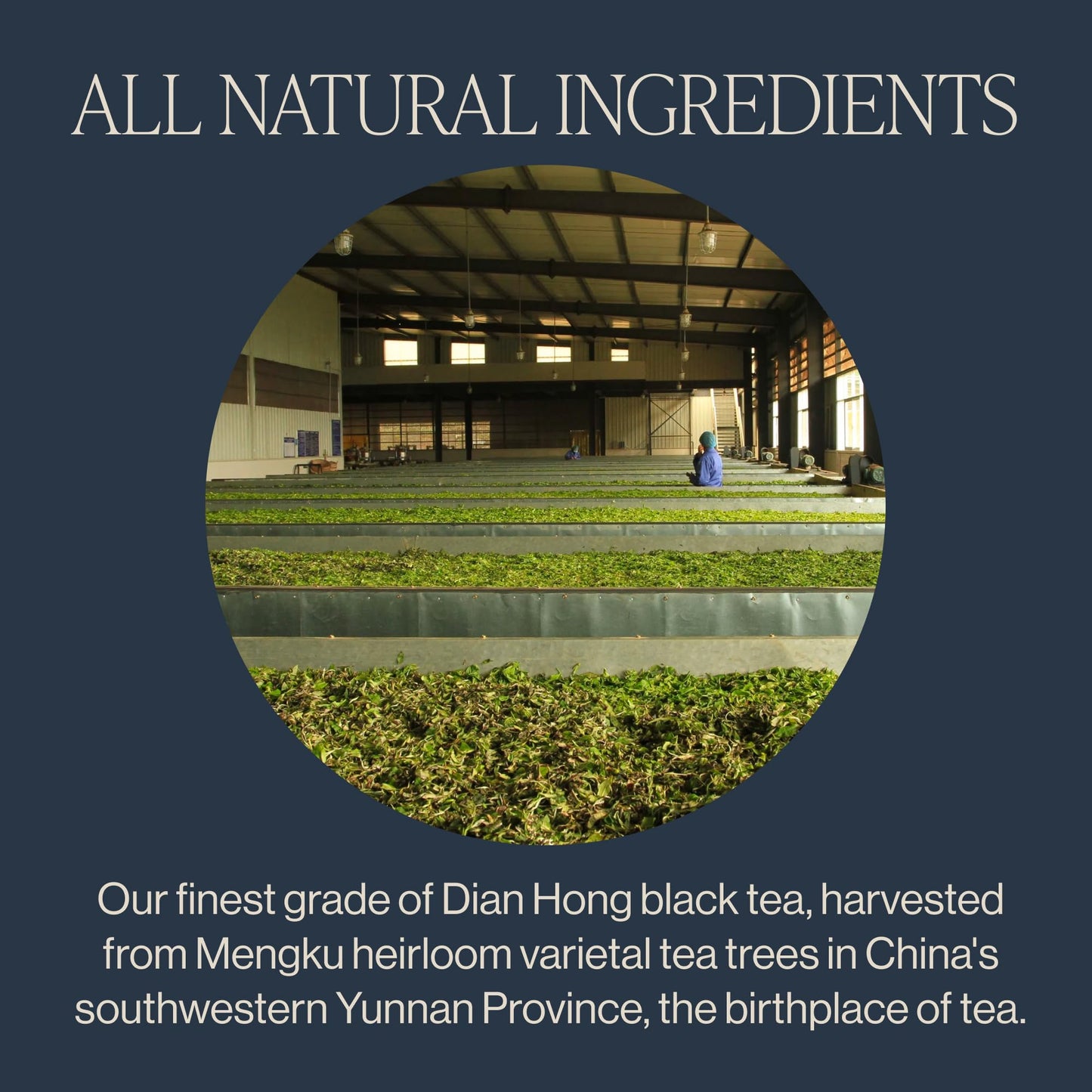 Rishi Tea China Breakfast Black Loose Leaf Tea - Organic, Robust & Caffeinated, Enjoy Hot or Iced - 4 Ounces, 12+ Servings