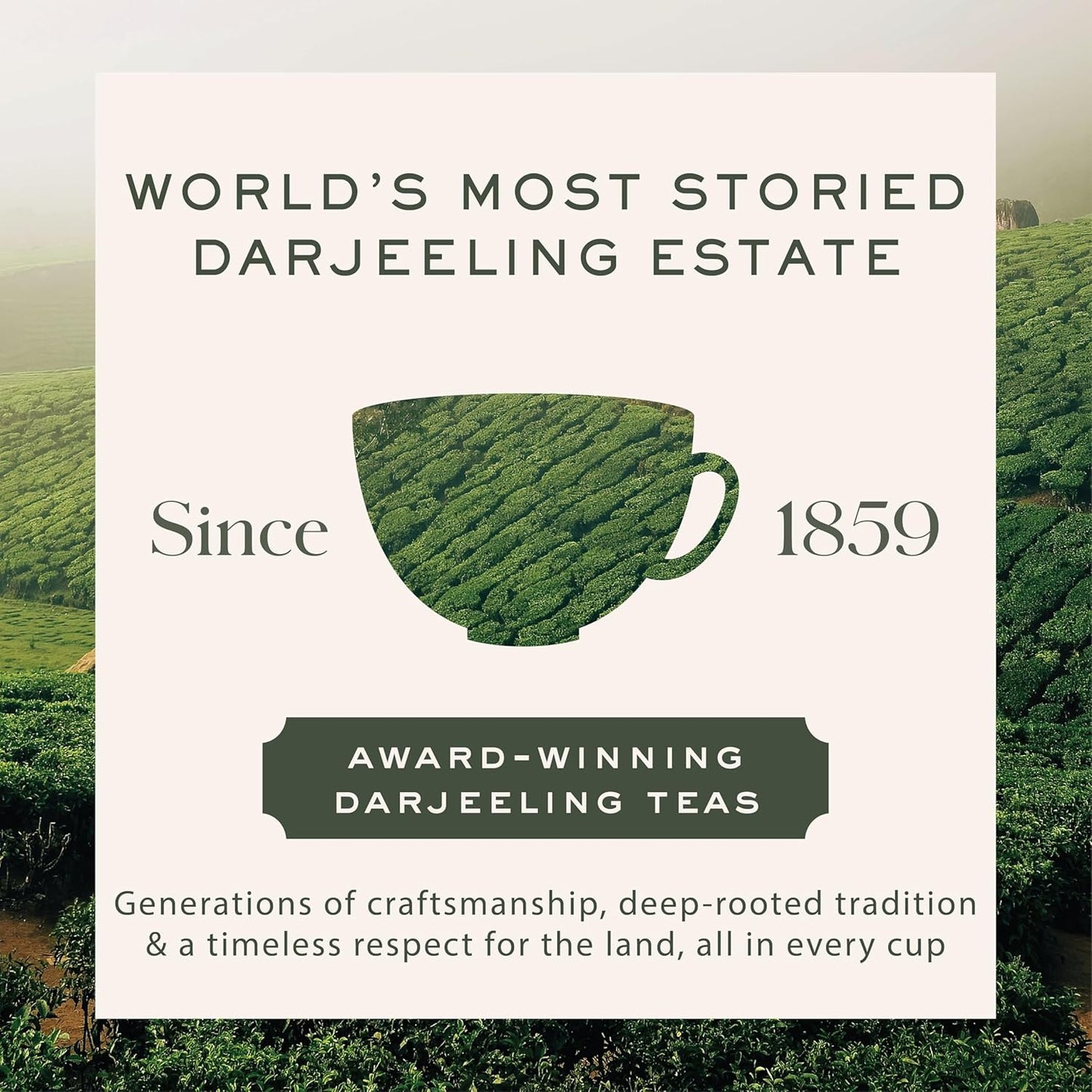 Makaibari Organic Darjeeling Black Loose Leaf Tea, 250 cups (500g/17.63oz) | Direct from the World's First Certified Organic Tea Estate
