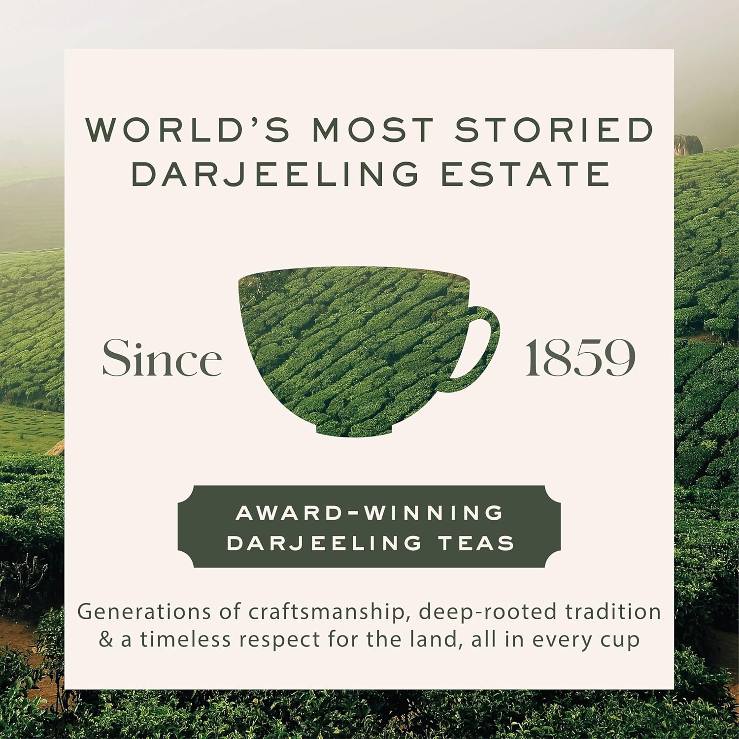 Makaibari Organic Darjeeling Black Loose Leaf Tea, 250 cups (500g/17.63oz) | Direct from the World's First Certified Organic Tea Estate