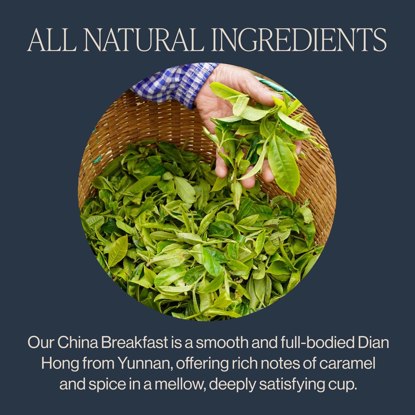 Rishi Tea China Breakfast Black Loose Leaf Tea - Organic, Robust & Caffeinated, Enjoy Hot or Iced - 4 Ounces, 12+ Servings