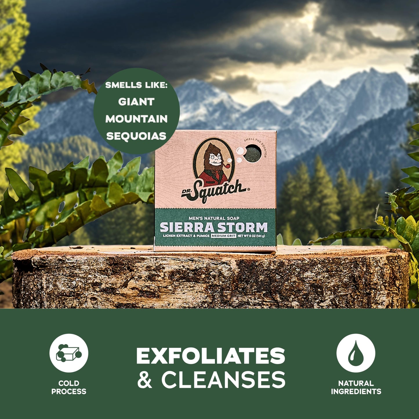 Dr. Squatch Natural Men’s Bar Soap - Cold Process Body Soap Bar with Natural Oils - Gifts for Men - Pine Tar (5 oz, 3-Pack)